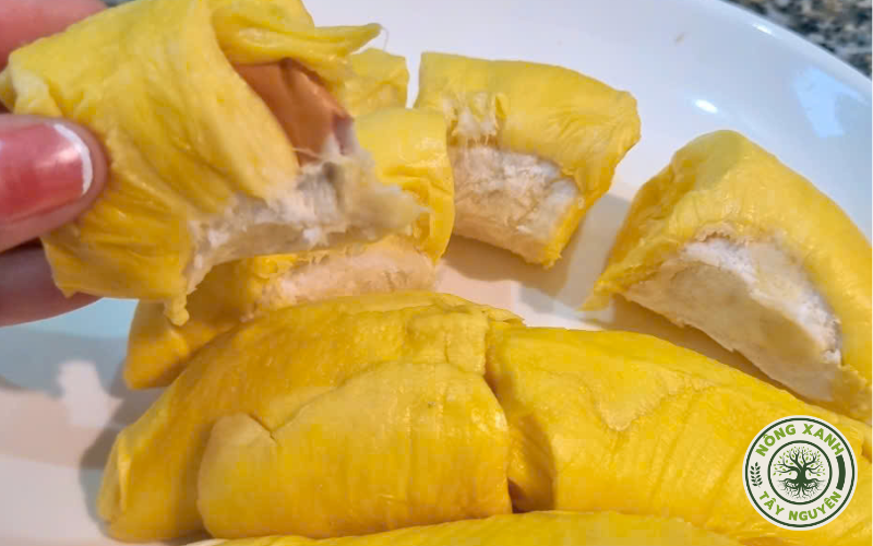 Múi sầu riêng Musang King