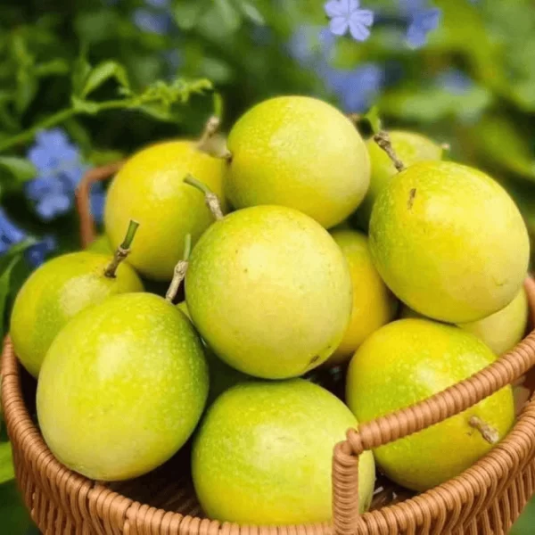 Chanh Dây Vàng Ngọt Mật Ong Nông Xanh Tây Nguyên