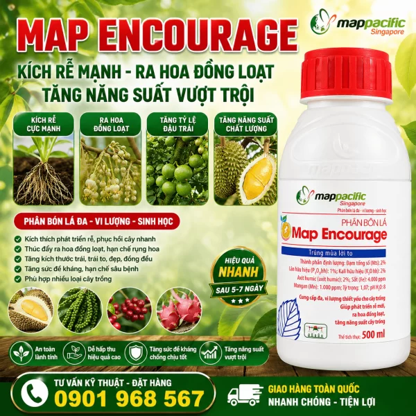 Map Encourage