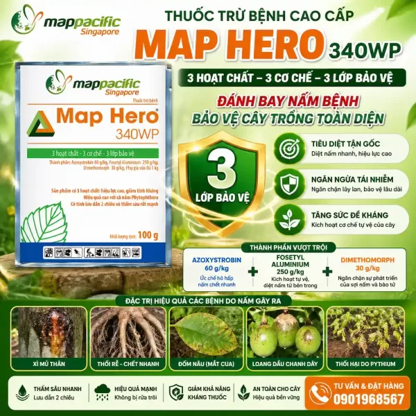 Map Hero 340WP – Giải Pháp Vàng Cho Bệnh Nấm Nguy Hiểm Trên Cây Trồng