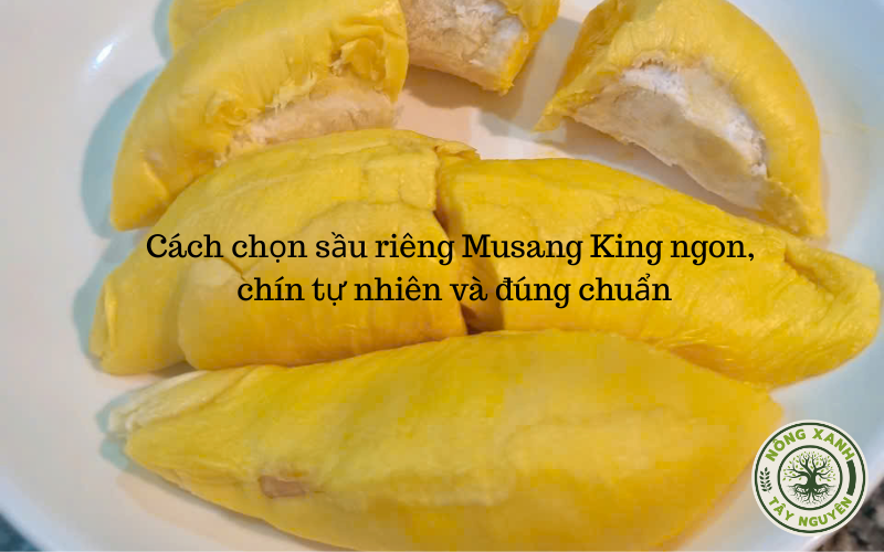 Cách chọn sầu riêng Musang King ngon