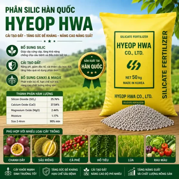 Phân Silic Hàn Quốc